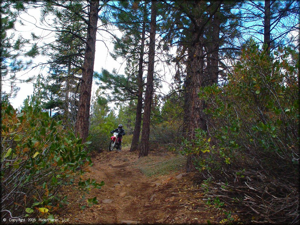 Honda CRF Dirtbike at Prosser Hill OHV Area Trail