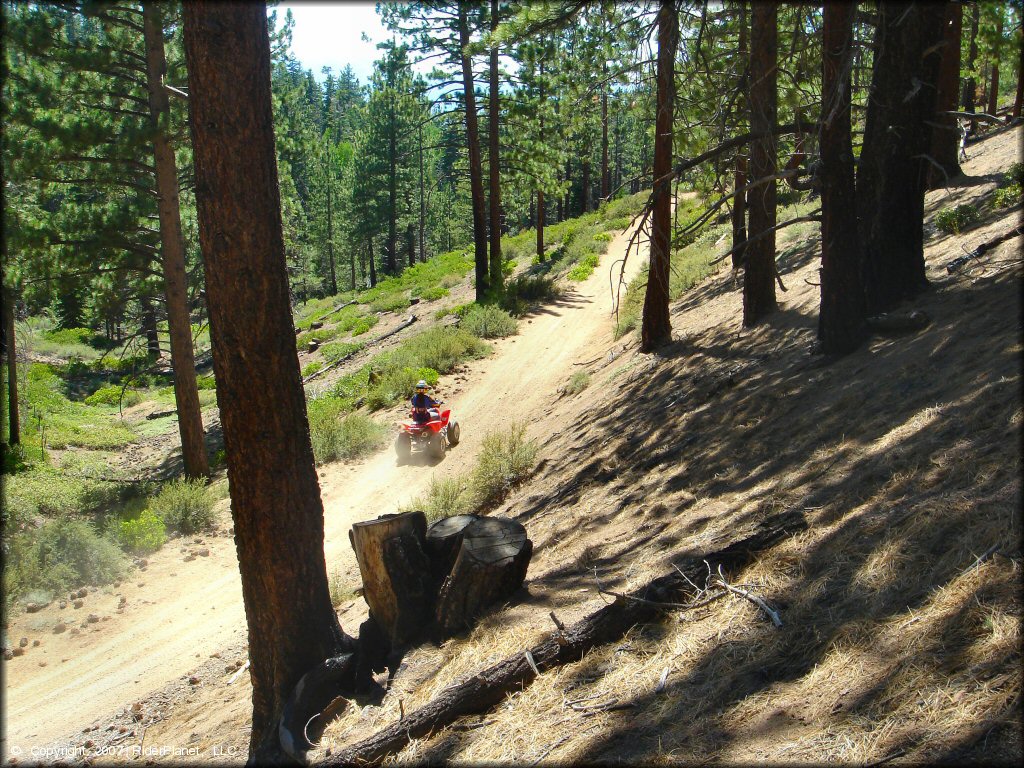 Female rider on a Honda Four Wheeler at South Camp Peak Loop Trail