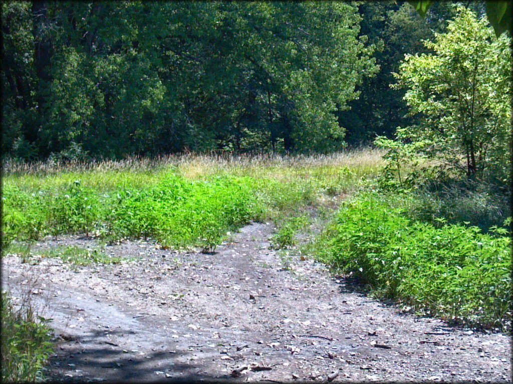 Example of terrain at Council Grove Lake ORV Area Trail