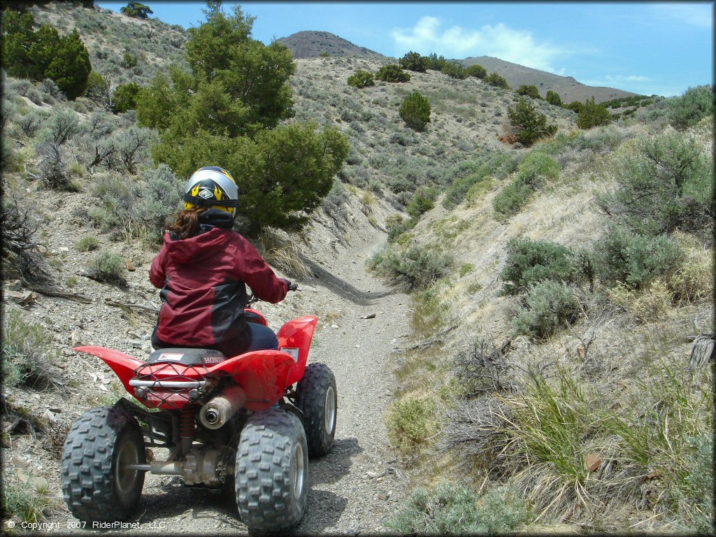 OHV at Blue Mountain Trail