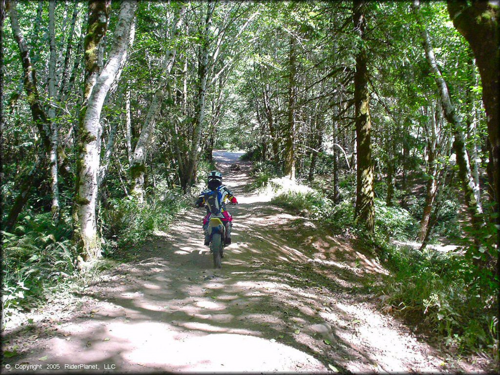 OHV at Low Pass Trail