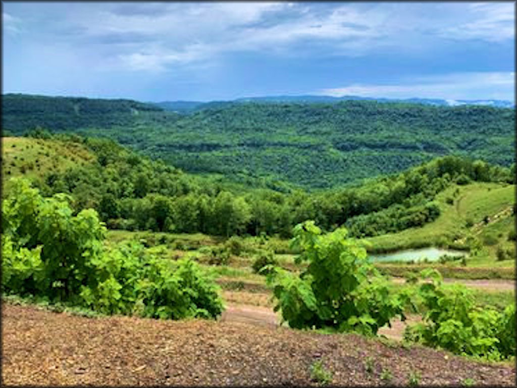 Tackett Creek Trails