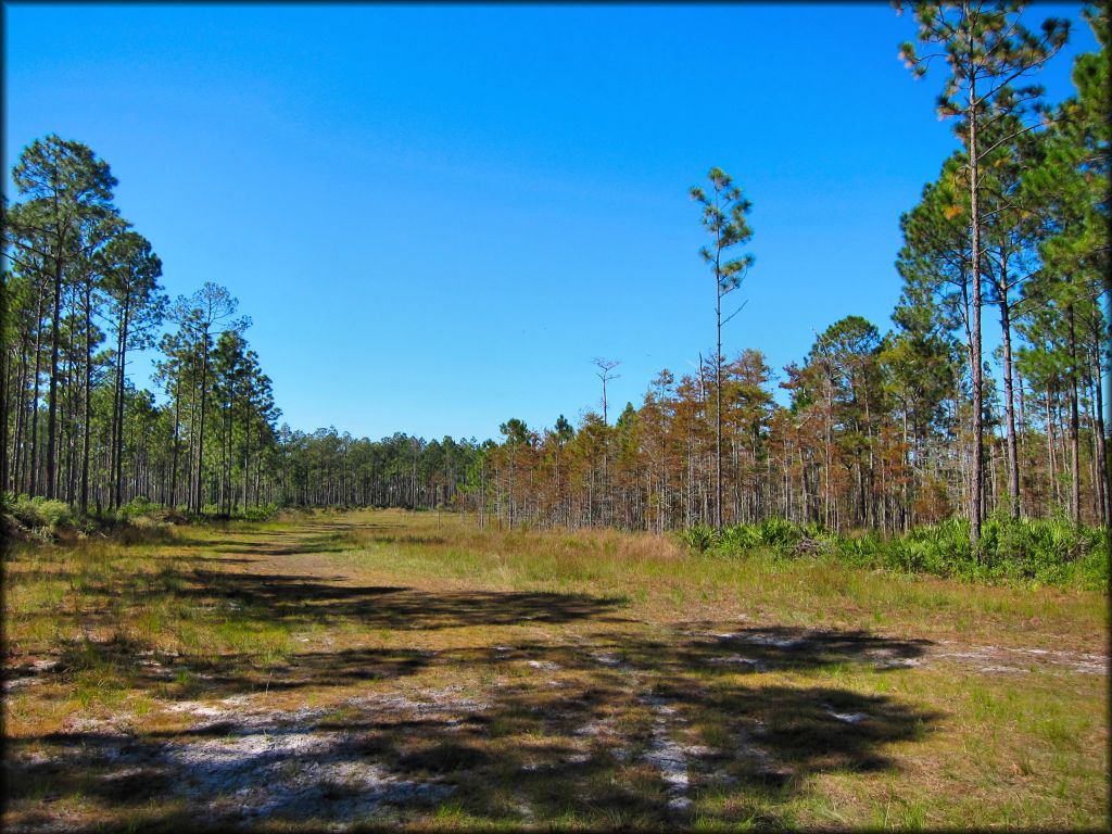 Florida Cracker Ranch Trail