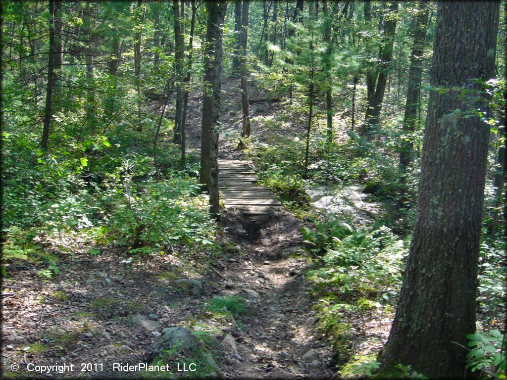 A trail at Wrentham Trails