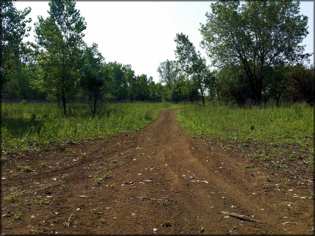 Otter Creek ATV Area Trail