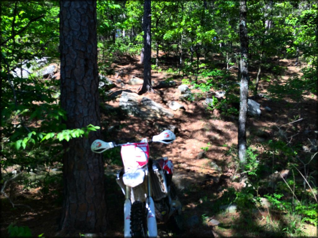 Boardstand Road and Old Military Road Trail