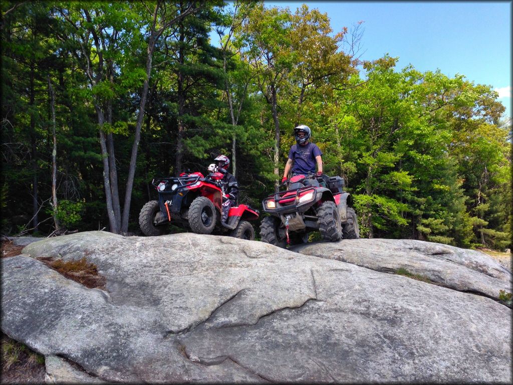 Little Monadnock Family Trails