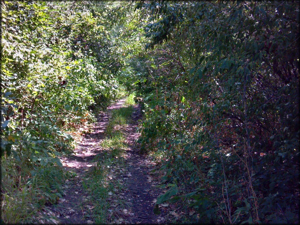 Example of terrain at Council Grove Lake ORV Area Trail