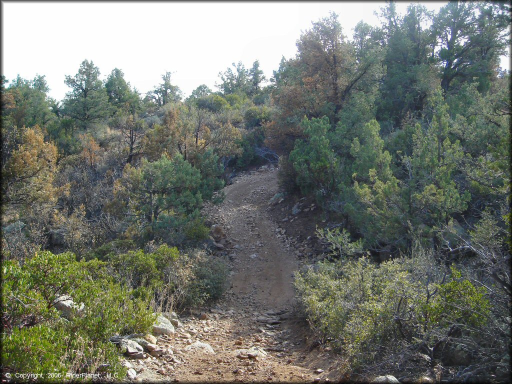 A trail at Sheridan Mountain Smith Mesa OHV Trail System