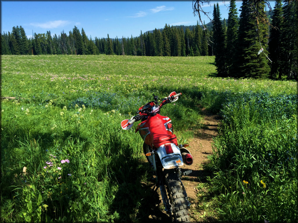 Horsetail Creek Trail