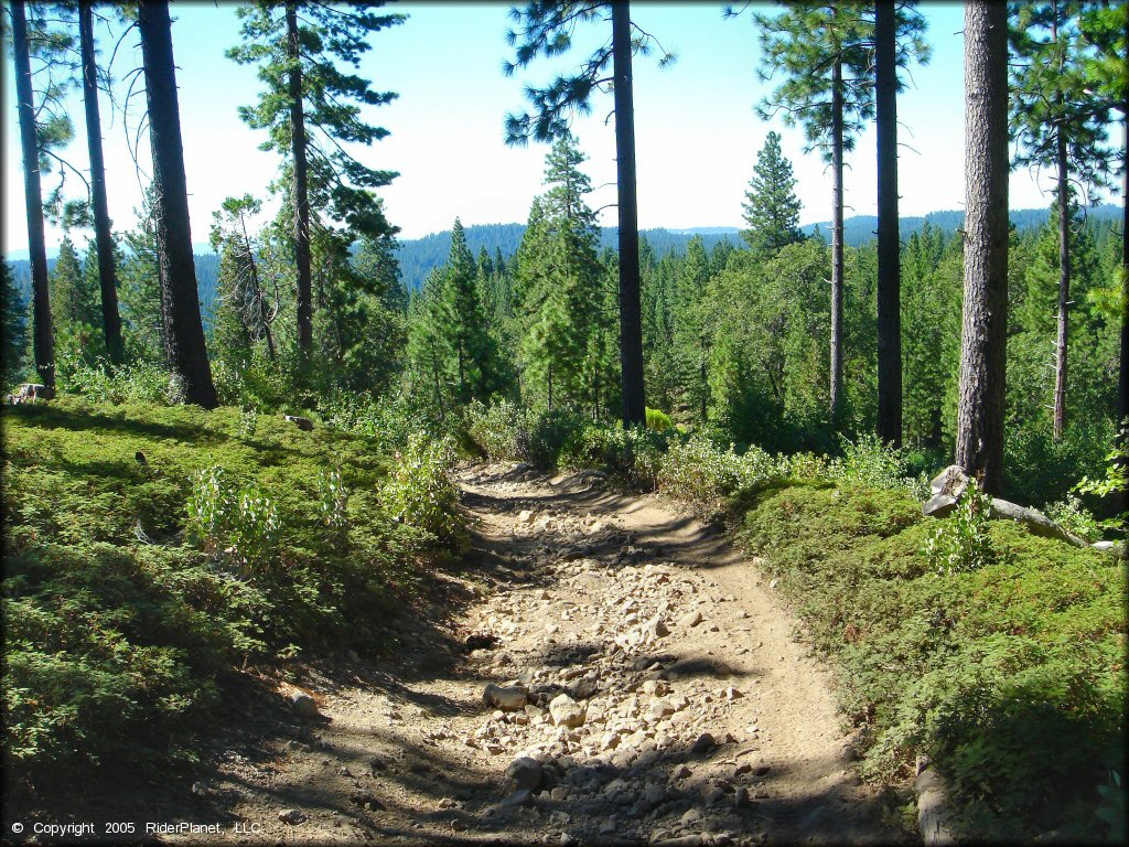 Terrain example at Interface Recreation Trails