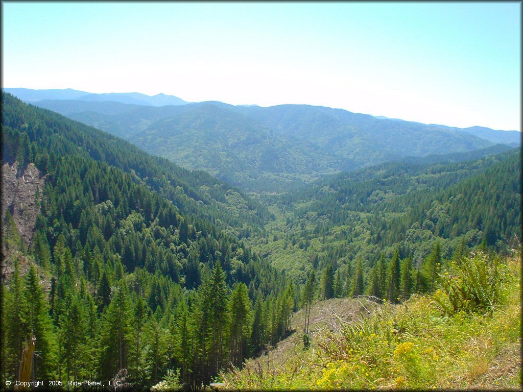 Scenery at Diamond Mill OHV Area Trail