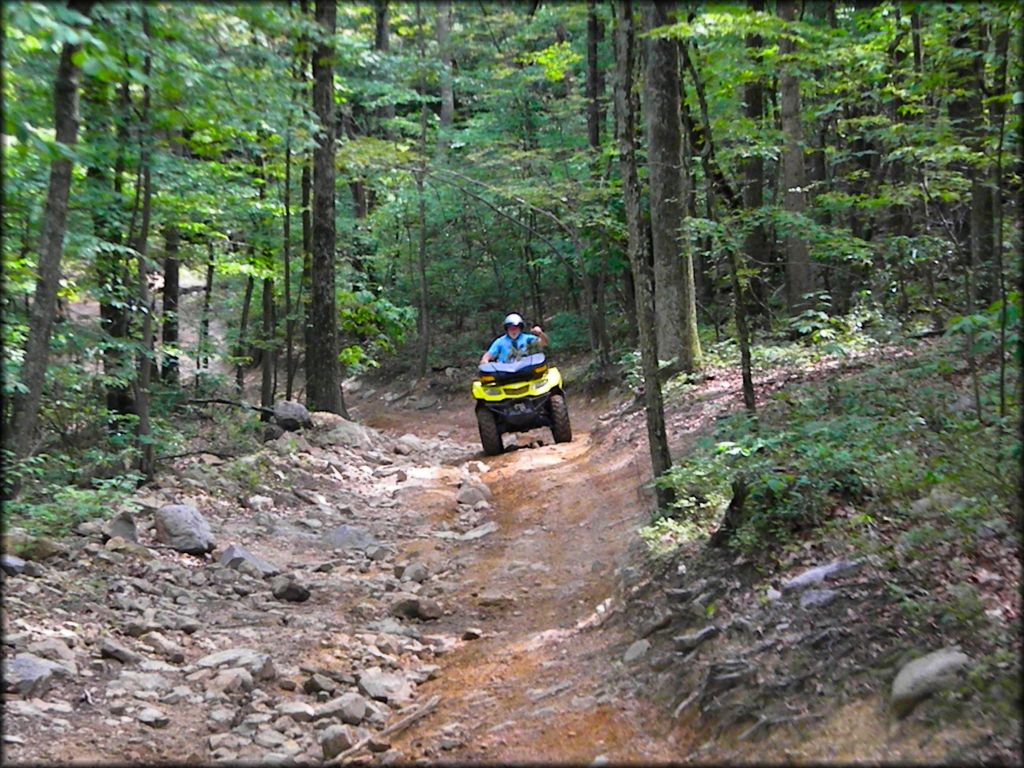 Moto Cove Trail