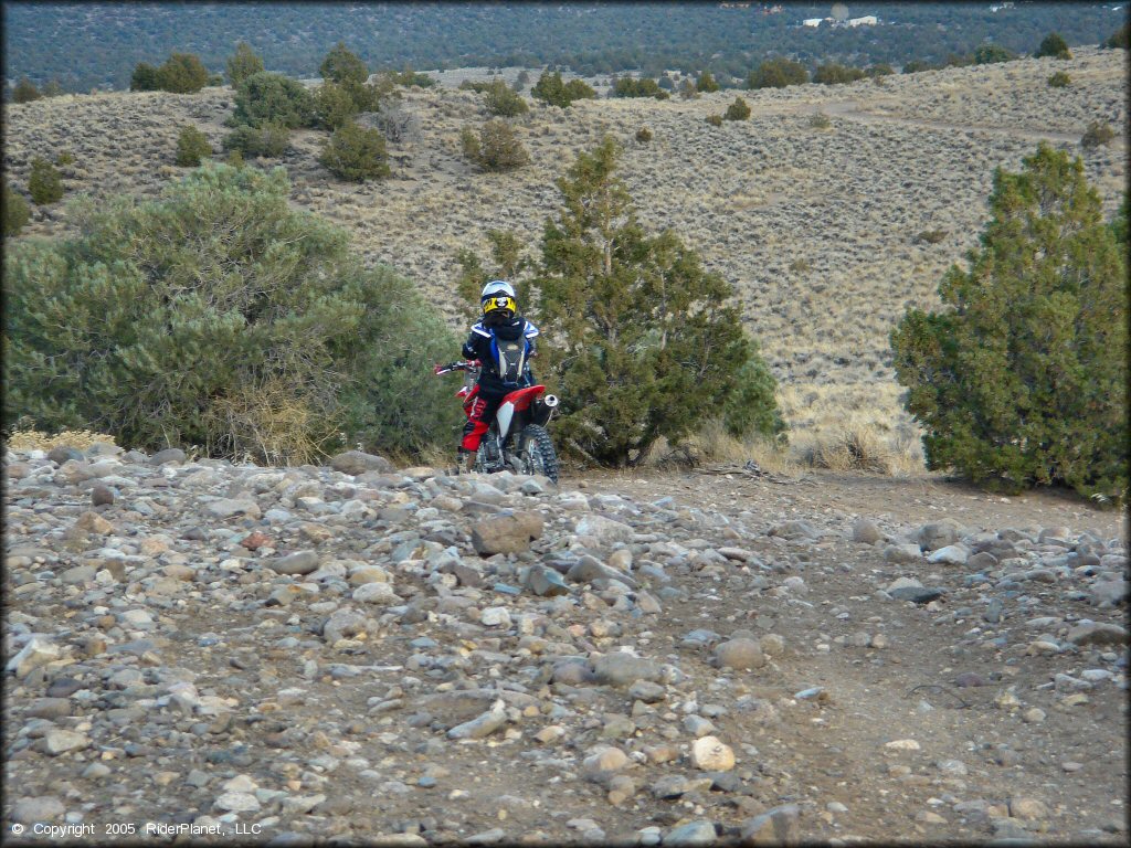 Honda CRF Dirt Bike at Mount Seigel OHV Trails