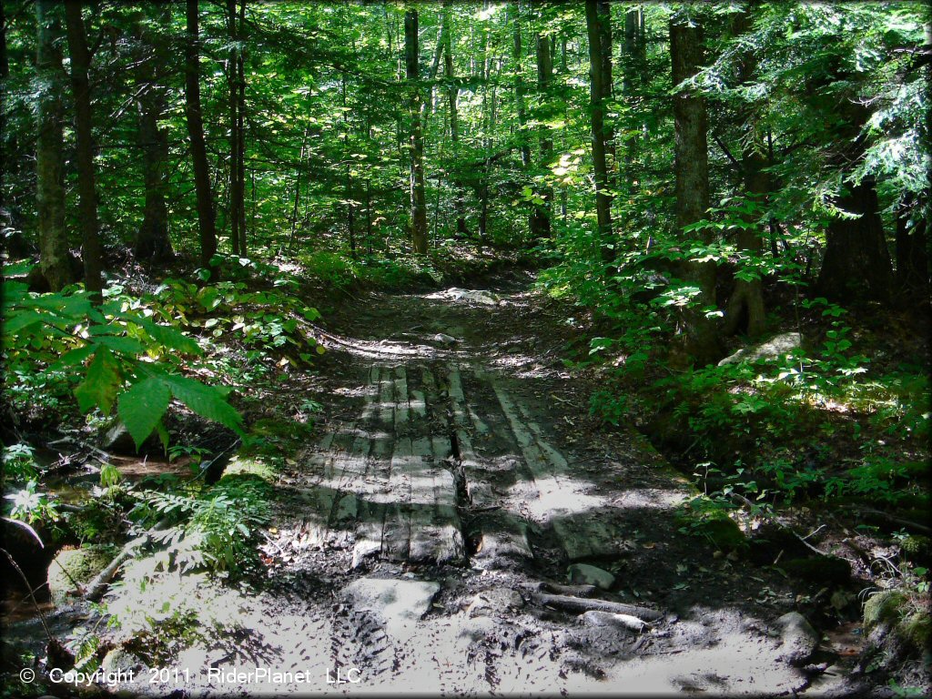 Example of terrain at Beartown State Forest Trail