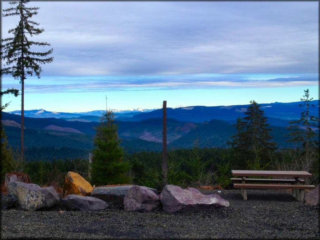 OHV at Shotgun OHV Area Trail