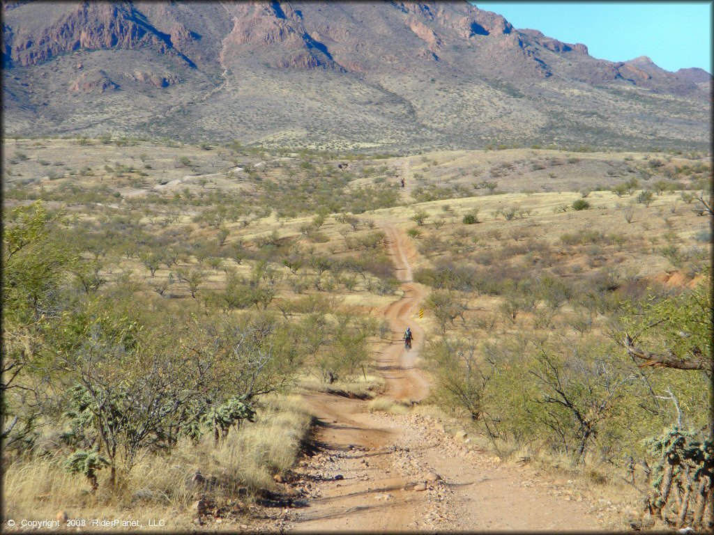 Red Springs Trail