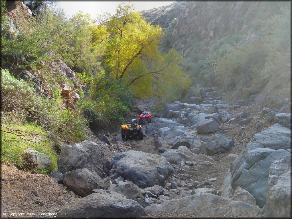 Scenery at Log Corral Canyon Trail