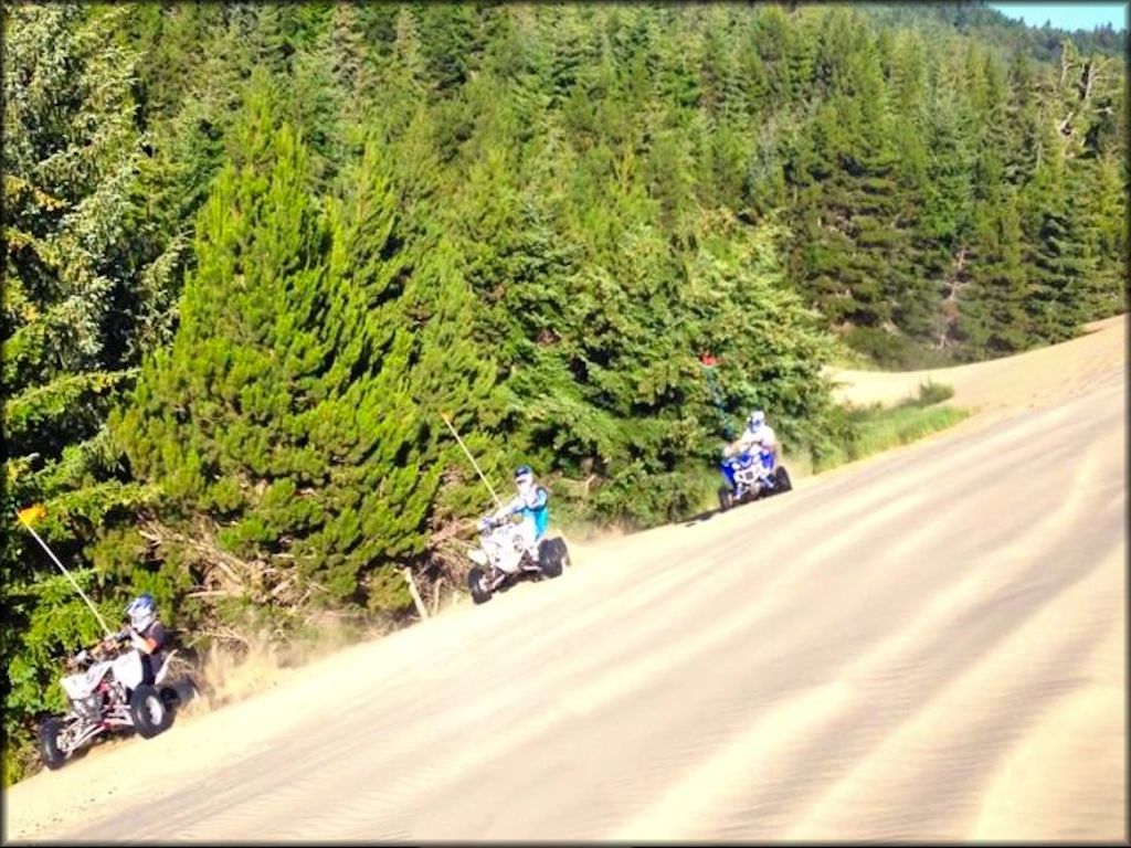 Oregon Dunes NRA - Spinreel to Horsefall Dune Area