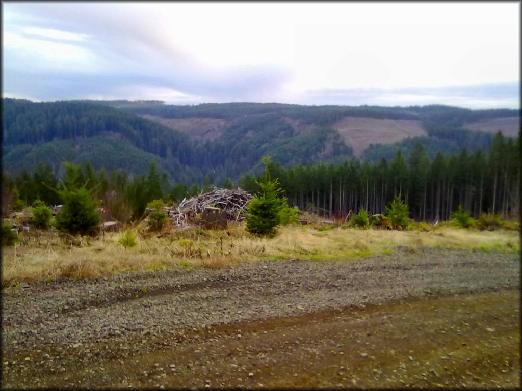 Crooked Finger OHV Trails