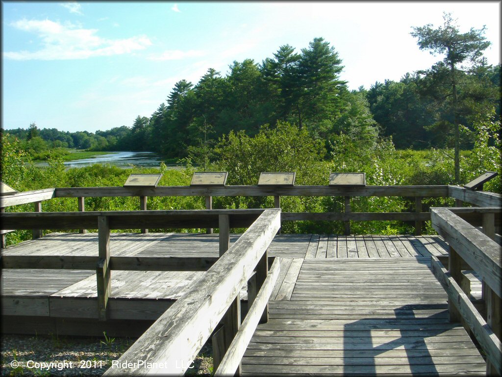 Pachaug State Forest Trail