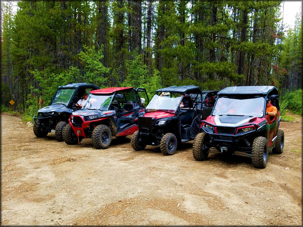 Twin Sisters and Mack King Trails