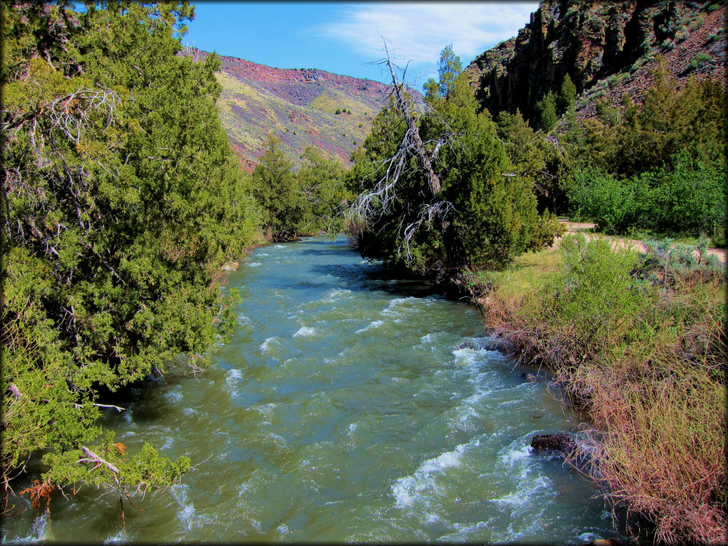 View of East Fork Jarbidge River taken from the road.