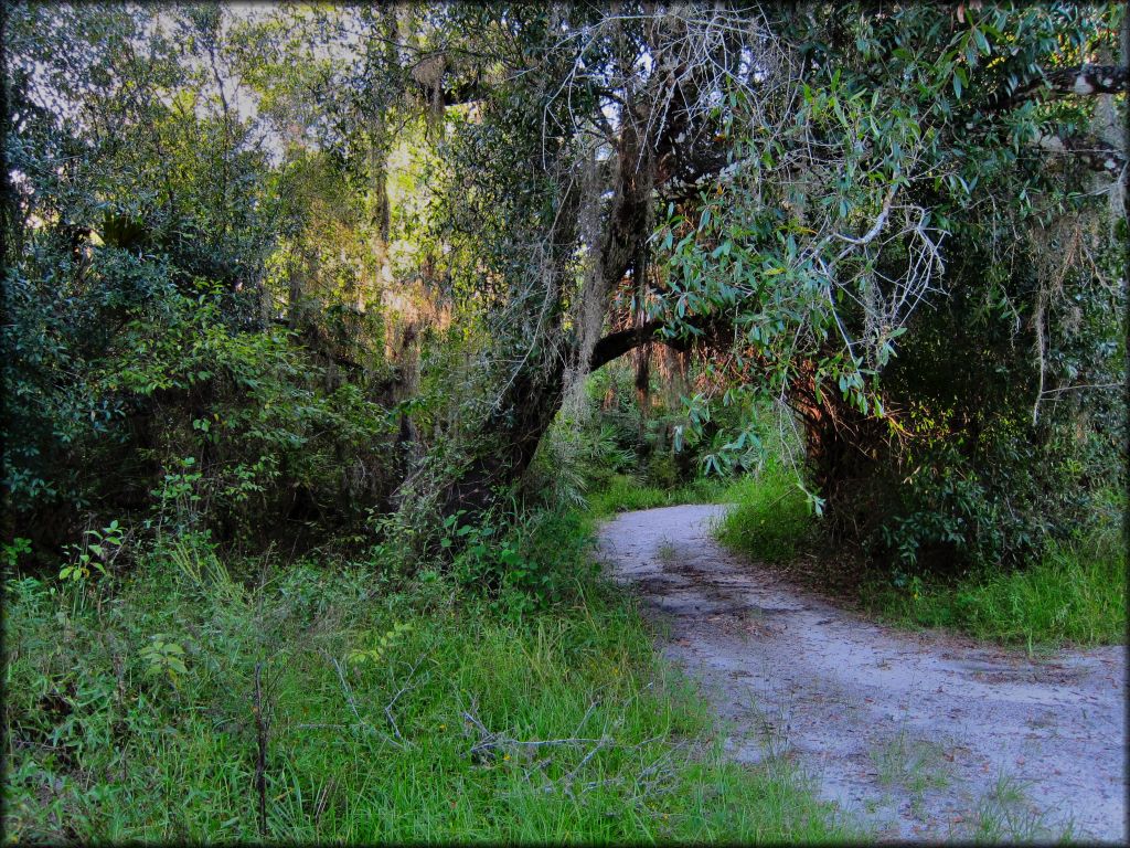 Peace River Campground Trail