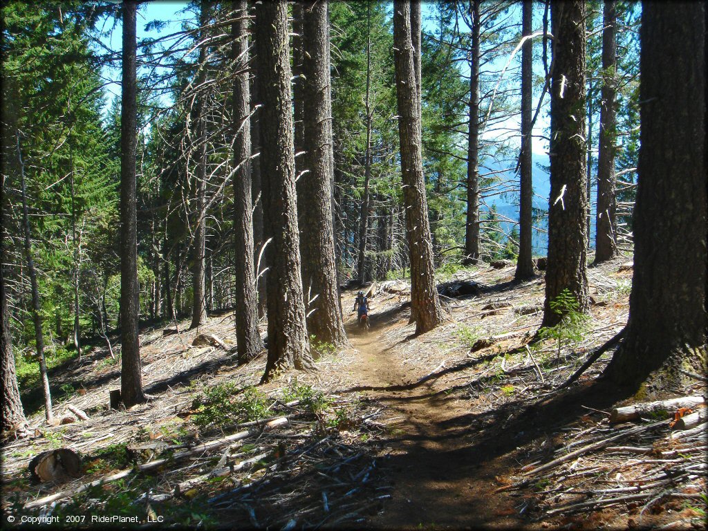 Girl riding a Honda CRF Motorcycle at High Dome Trail