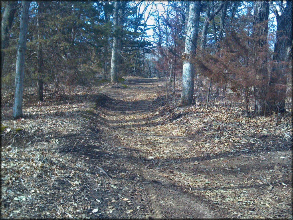 Example of terrain at Spillway Cycle Area Trail