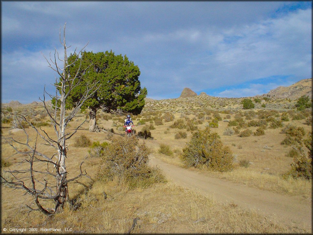 Honda CRF Dirtbike at Fort Sage OHV Area Trail