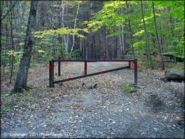 Example of terrain at Pittsfield State Forest Trail
