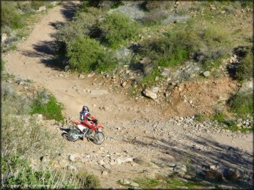 Honda CRF Dirt Bike at Bulldog Canyon OHV Area Trail