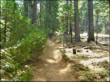 Honda CRF Motorcycle at Elkins Flat OHV Routes Trail