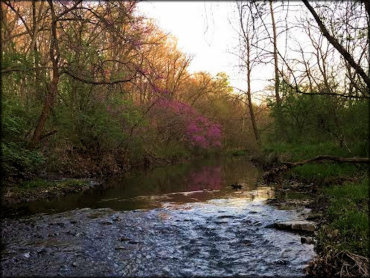 South Big Creek Ranch, LLC Trail