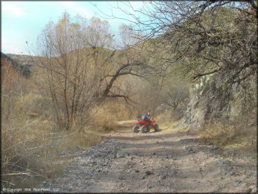 Honda TRX250 going through a brush tunnel.