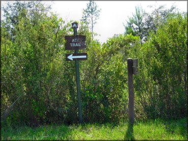 Mallory Swamp ATV Trail