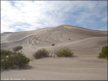 Amargosa Dunes Dune Area