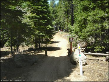 A trail at Twin Peaks And Sand Pit Trail