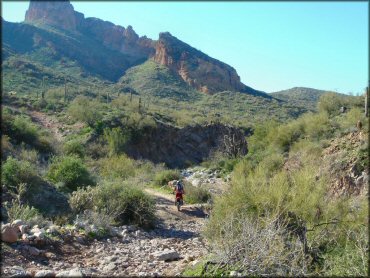 Honda CRF Trail Bike at Bulldog Canyon OHV Area Trail