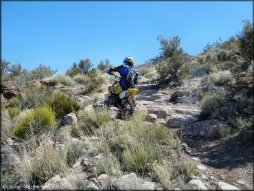 OHV at Chief Mountain OHV Area Trail