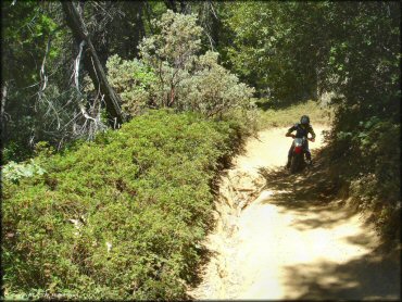 Honda CRF Motorcycle at Miami Creek OHV Area Trail