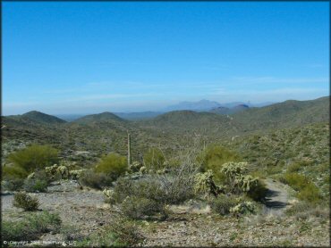 Scenic view of desert mountains with saguaro and cholla cacti.