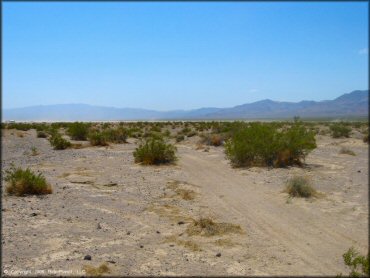 Some terrain at Eldorado Dry Lake Bed Riding Area