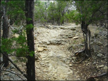 A trail at Emma Long Metropolitan Park Trail
