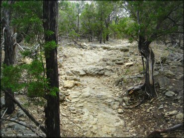 Terrain example at Emma Long Metropolitan Park Trail