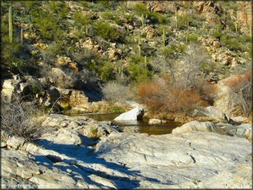 Scenic view at Redington Pass Trail