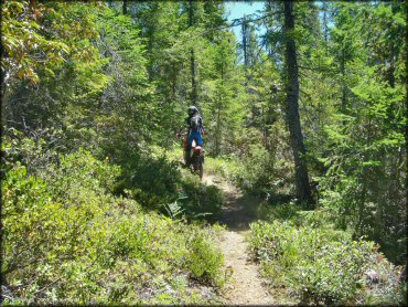 Girl riding a Honda CRF Motorbike at High Dome Trail