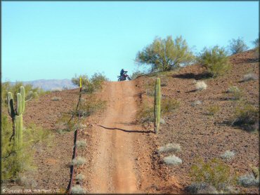 Honda CRF Dirt Bike at Swansea Townsite Trail