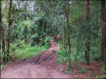 Croom Motorcycle Area Trail